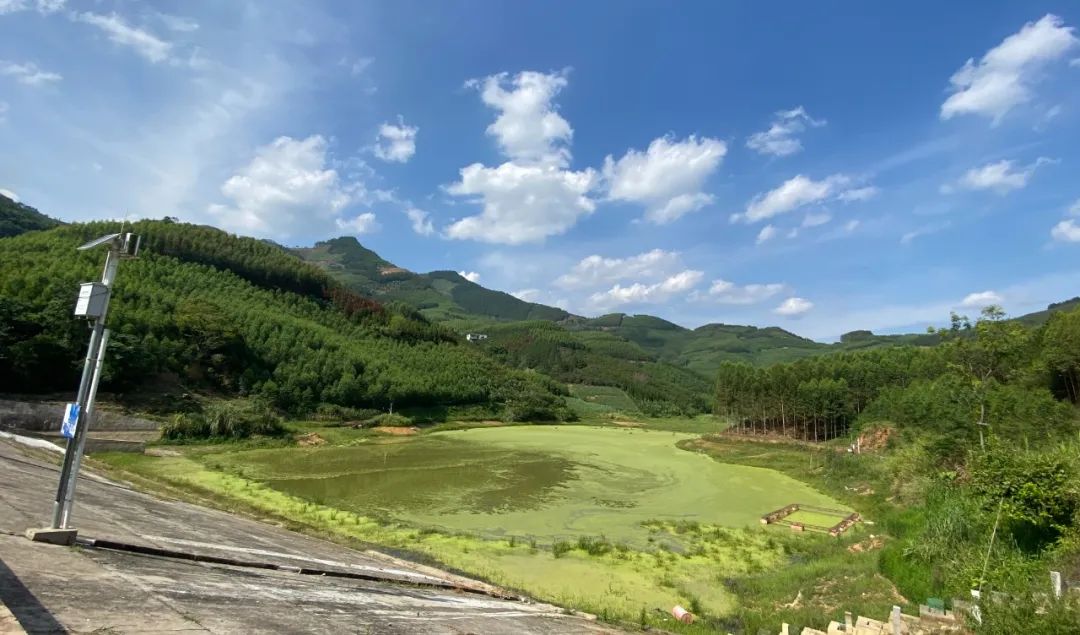 村集體經濟2 村集體經濟2