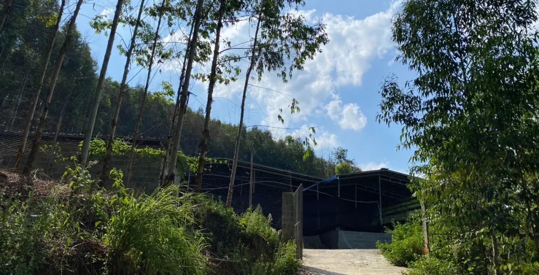 村集體經濟4 村集體經濟4