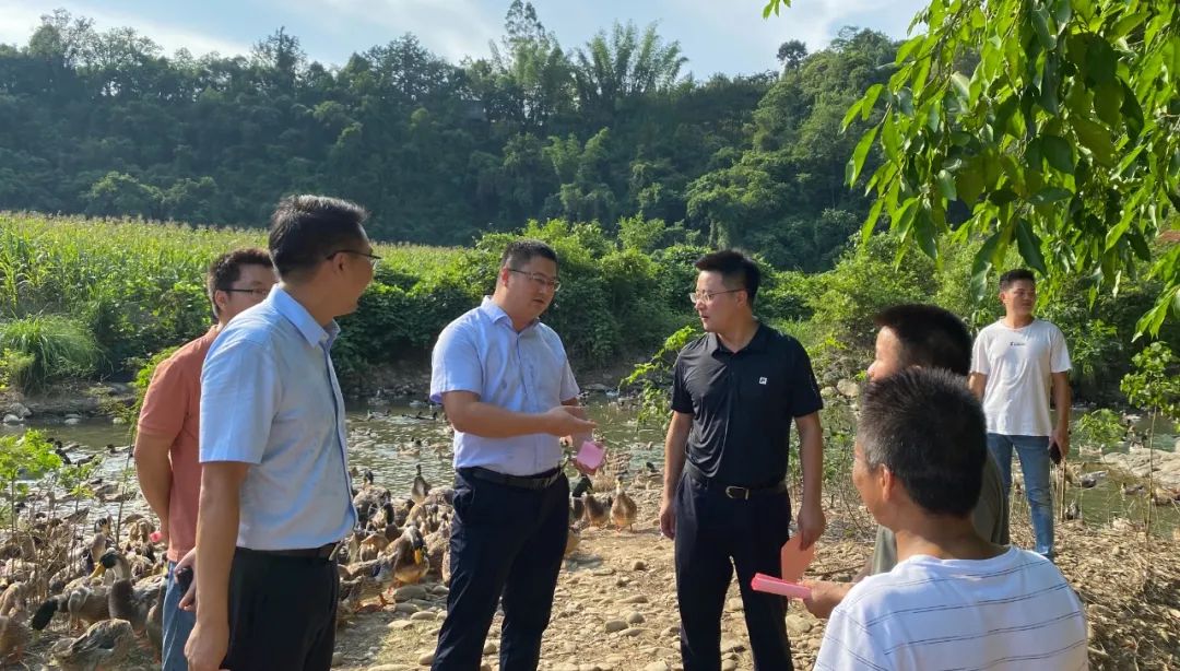 村集體經濟5 村集體經濟5