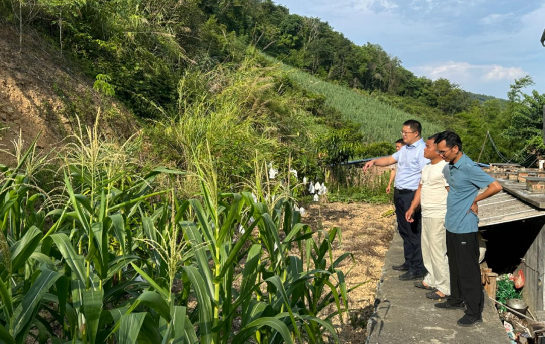 汪鄉(xiāng)調(diào)研4 汪鄉(xiāng)調(diào)研4