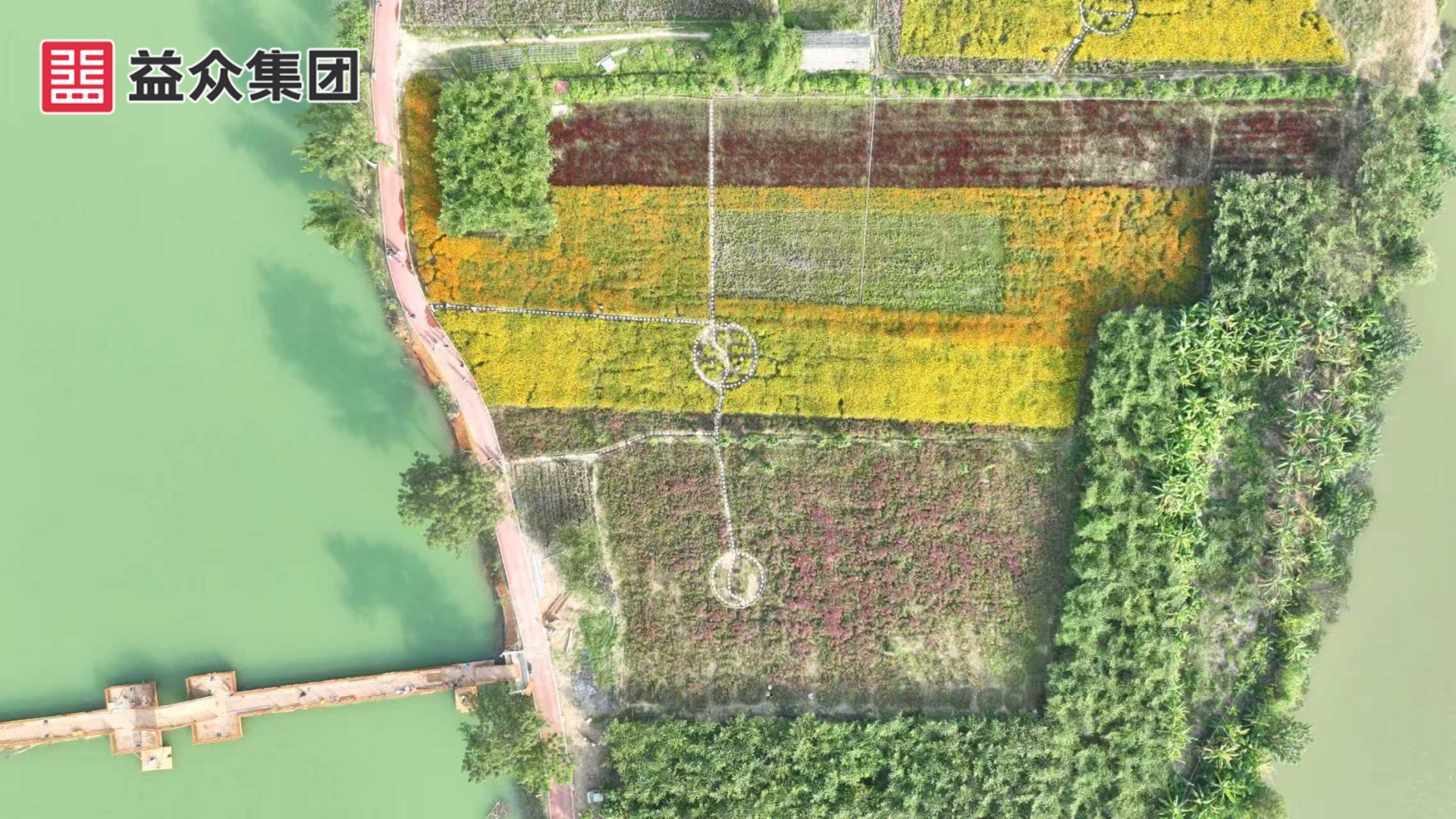 俯視花海 俯視花海